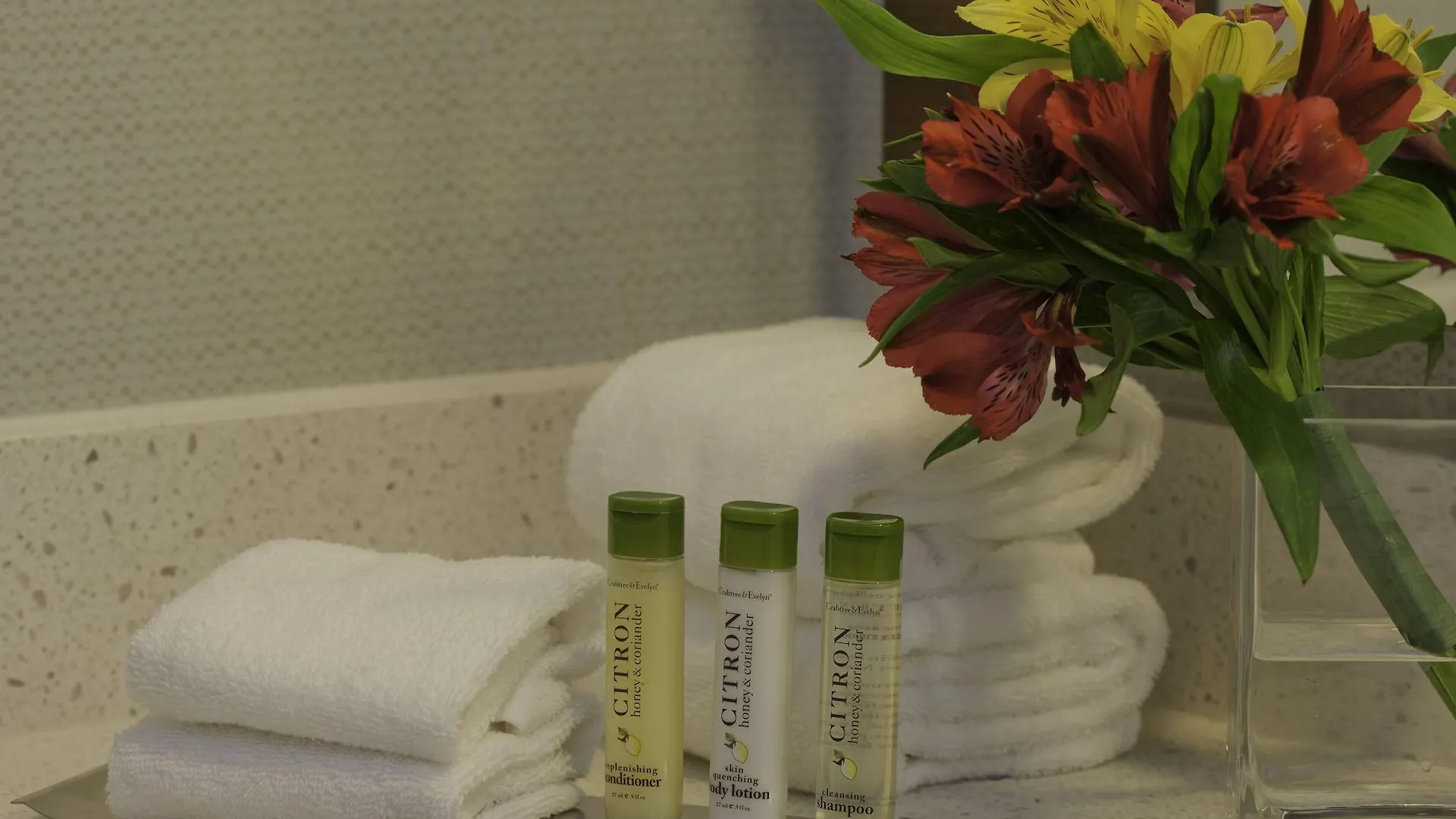 Hotel Doubletree By Hilton Pittsburgh-Green Tree