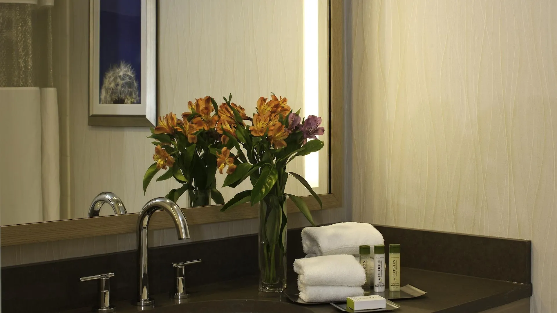 Doubletree By Hilton Pittsburgh-Green Tree Crafton 4*,